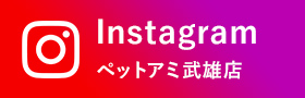 Instagram ペットアミ武雄店